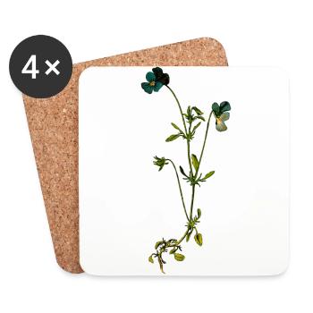 herbes thym romarin persil origan aneth - Dessous de verre (lot de 4) - blanc - Devant