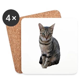 Cat cat sweet kitten - Coasters (set of 4) - white - Front
