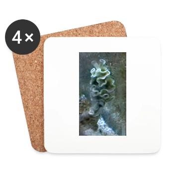Sea Snail - Coasters (set of 4) - white - Front