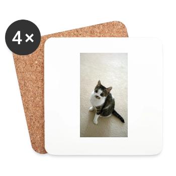 Pretty Kitty - Coasters (set of 4) - white - Front