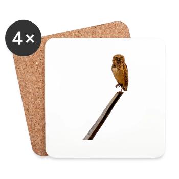 It's nice an owl - Coasters (set of 4) - white - Front