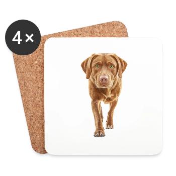 Labrador Retriever - Untersetzer (4er-Set) - Weiß - Vorne