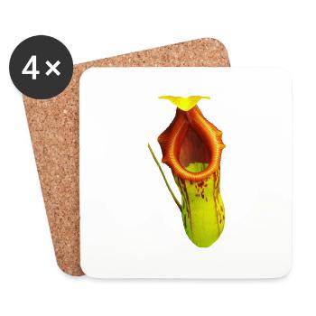 Nepenthes burkei - Untersetzer (4er-Set) - Weiß - Vorne
