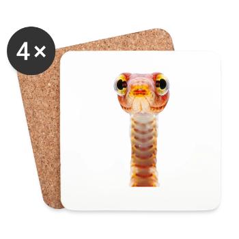 Wurm - Untersetzer (4er-Set) - Weiß - Vorne