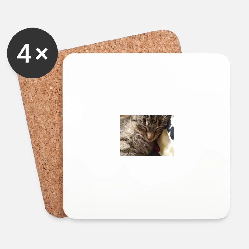 cat, kitten, kitty - Coasters (set of 4) - white