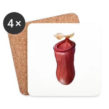 Nepenthes ventricosa - Untersetzer (4er-Set) - Weiß - Vorne