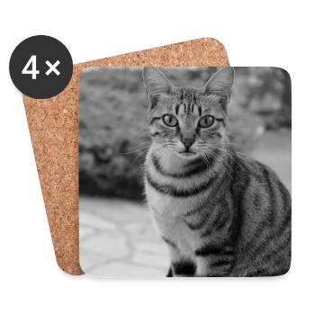 Katze Hintergrund Porträt weiß-schwarz - Untersetzer (4er-Set) - Weiß - Vorne