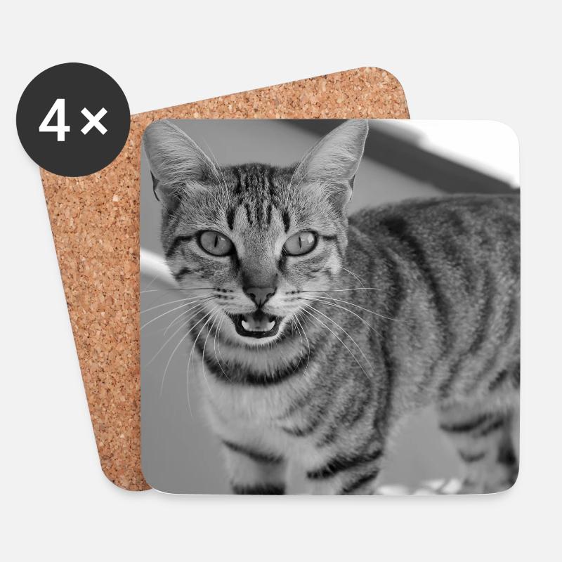 Katze Porträt weiß-schwarz - Untersetzer (4er-Set) - Weiß