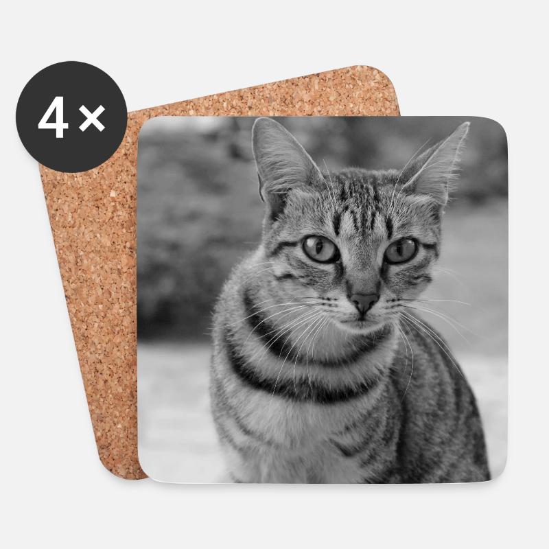 Katze Hintergrund Porträt weiß-schwarz - Untersetzer (4er-Set) - Weiß