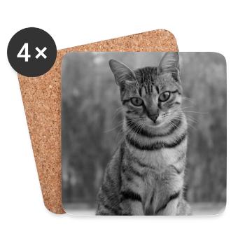 black and white cat - Coasters (set of 4) - white - Front