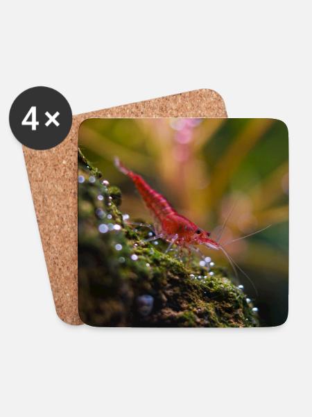 Red shrimp - Coasters (set of 4) - white