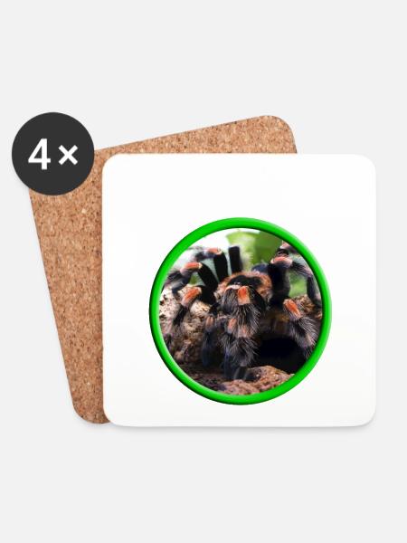 Vogelspinne / Spinnenflüsterer - Untersetzer (4er-Set) - Weiß