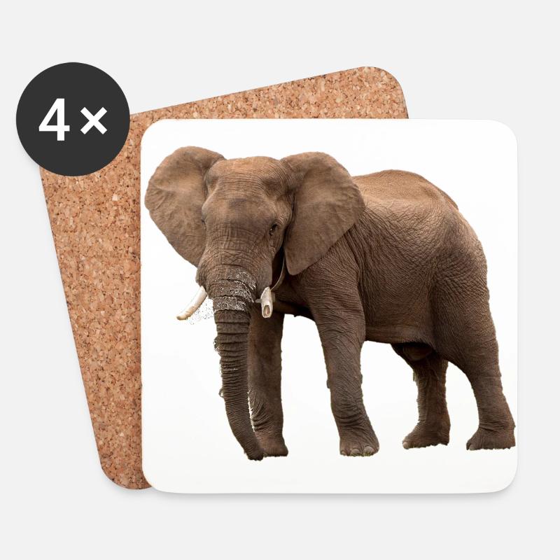 elephant - Coasters (set of 4) - white