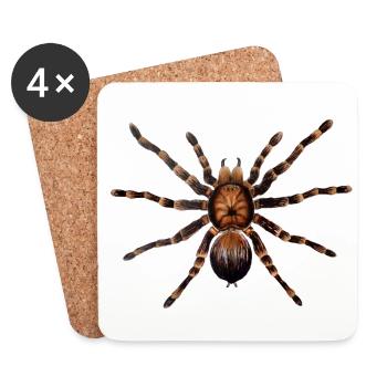 Spinne - Untersetzer (4er-Set) - Weiß - Vorne