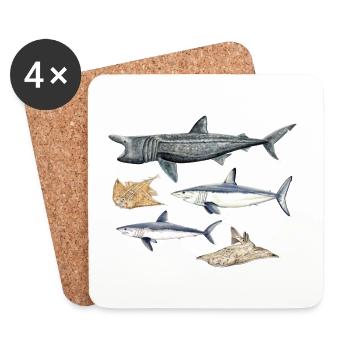 Sharks - Sharks - Requins - Coasters (set of 4) - white - Front