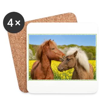 Two Icelandic horses cuddle in a spring meadow - Coasters (set of 4) - white - Front