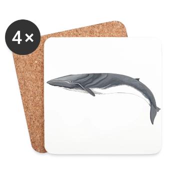 Fin Whale - Fin whale - Rorqual commun - Coasters (set of 4) - white - Front