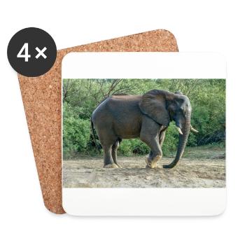 Elefant stampfte mit dem Fuß in den Sand. - Untersetzer (4er-Set) - Weiß - Vorne