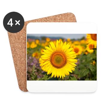Tournesol Tête de fleur se distingue d’un champ - Dessous de verre (lot de 4) - blanc - Devant