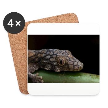 Eurydactylodes symmetricus - Neukaledonian gecko - Coasters (set of 4) - white - Front