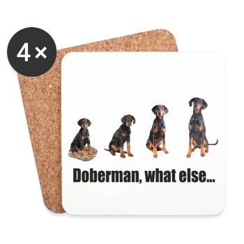 Doberman, quoi d'autre ... - Dessous de verre (lot de 4) - blanc - Devant