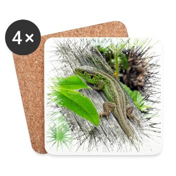 Die Zauneidechse ist ein weit verbreitetes Reptil - Untersetzer (4er-Set) - Weiß - Vorne