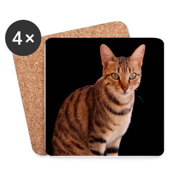 Chat chat chaton doux - Dessous de verre (lot de 4) - blanc - Devant
