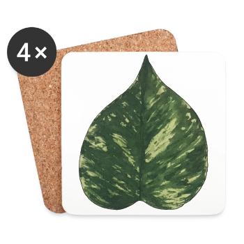 Schismatoglottis feuille plantlover botanique nature - Dessous de verre (lot de 4) - blanc - Devant