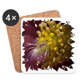 Pasque flower is used in folk medicine - Coasters (set of 4) - white - Front