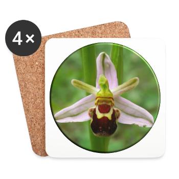 L’orchidée abeille est une orchidée indigène - Dessous de verre (lot de 4) - blanc - Devant