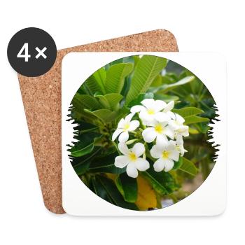 Plumeria is an exotic and fragrant flower - Coasters (set of 4) - white - Front