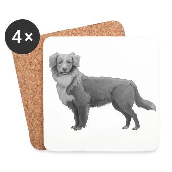Nova Scotia Ente Tolling Retriever - Untersetzer (4er-Set) - Weiß - Vorne