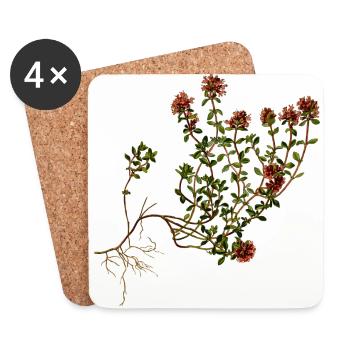 herbes thym romarin persil origan aneth - Dessous de verre (lot de 4) - blanc - Devant
