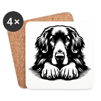 Hovawart Head with Paws - Coasters (set of 4) - white - Front