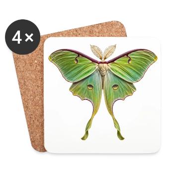 Luna Moth Actias luna - Coasters (set of 4) - white - Front