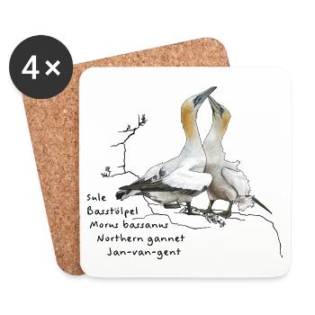 Basstölpel - Morus bassanus - Coasters (set of 4) - white - Front