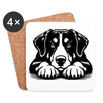 Appenzeller Mountain Dog Head with Paws - Coasters (set of 4) - white - Front