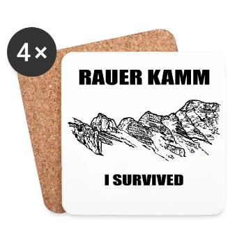 Rauer Kamm, Ötscher, Mostviertel, Berg, Austria - Coasters (set of 4) - white - Front
