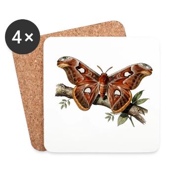 Attacus-Motte - Untersetzer (4er-Set) - Weiß - Vorne
