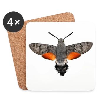 Papillon colibri Macroglossum stellatarum - Dessous de verre (lot de 4) - blanc - Devant