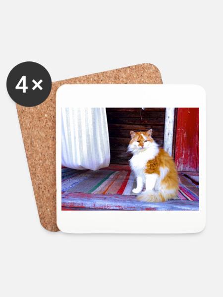 In the cottage for cats - Coasters (set of 4) - white