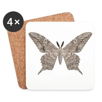 Papillon sorcier blanc Thysania agrippina - Dessous de verre (lot de 4) - blanc - Devant