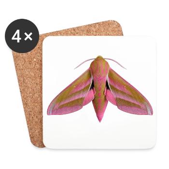 Papillon éléphant Deilephila elpenor - Dessous de verre (lot de 4) - blanc - Devant