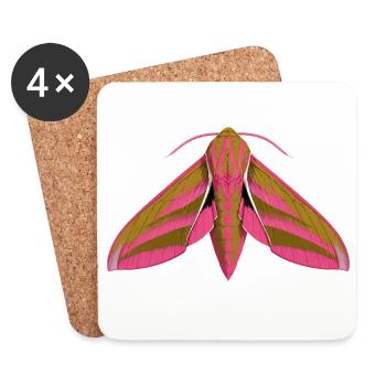 Elephant Hawk Moth Deilephila elpenor Styl de dessins animés - Dessous de verre (lot de 4) - blanc - Devant