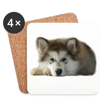 Maia Malamute Puppy - Coasters (set of 4) - white - Front