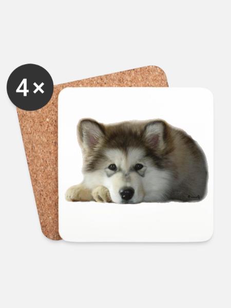 Maia Malamute Puppy - Coasters (set of 4) - white