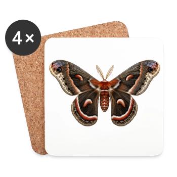 Cécropie de la nuit Hyalophora cécropie - Dessous de verre (lot de 4) - blanc - Devant