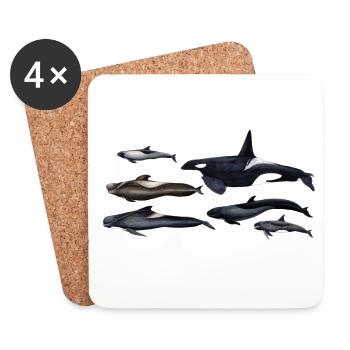 Blackfish - Orcas - Calderones - Pilot whales - Coasters (set of 4) - white - Front