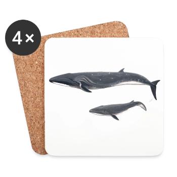 Whale whale Balaenoptera borealis - Coasters (set of 4) - white - Front