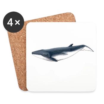 Tropical baby whale Baby whale - Baby baleine - Coasters (set of 4) - white - Front